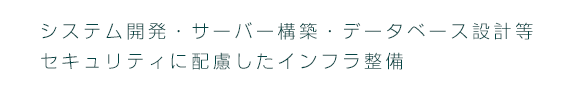 システム開発・サーバー構築・データベース設計等セキュリティに配慮したインフラ整備